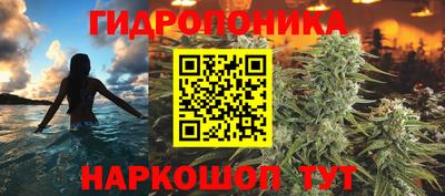 шишки Когалым
