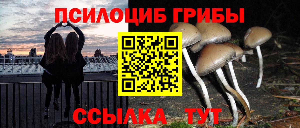 Псилоцибиновые грибы GOLDEN TEACHER Екатеринбург